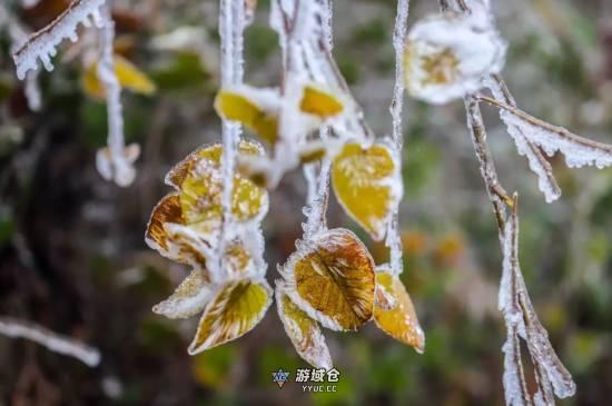 今年冬天会更冷吗？国家气候中心专家最新回应